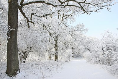 BUITEN BEELD Foto: 80064