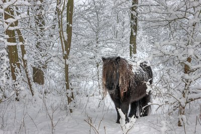 BUITEN BEELD Foto: 80091