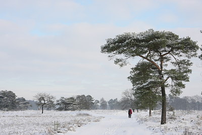 BUITEN BEELD Foto: 80104