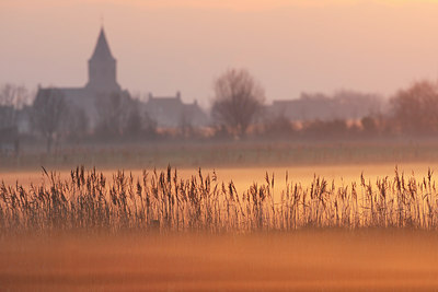 BUITEN BEELD Foto: 80106