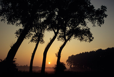 BUITEN BEELD Foto: 80108