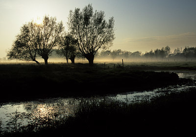 BUITEN BEELD Foto: 80109