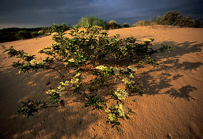 BUITEN BEELD Foto: 80111