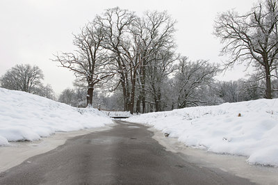 BUITEN BEELD Foto: 80182
