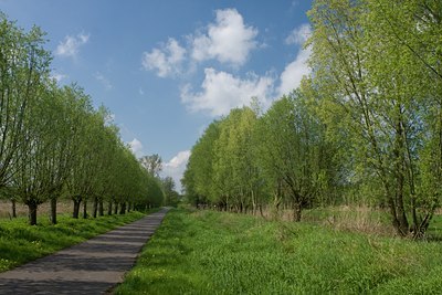 BUITEN BEELD Foto: 80187