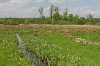 BUITEN BEELD Foto: 80188
