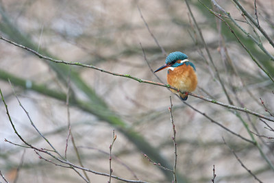 BUITEN BEELD Foto: 80191