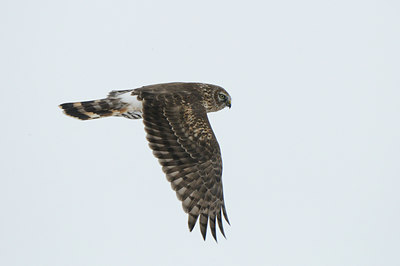 BUITEN BEELD Foto: 80229