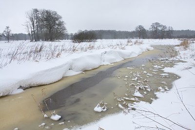 BUITEN BEELD Foto: 80235