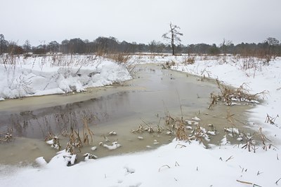 BUITEN BEELD Foto: 80239