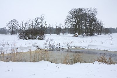 BUITEN BEELD Foto: 80240