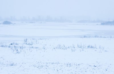 BUITEN BEELD Foto: 80265