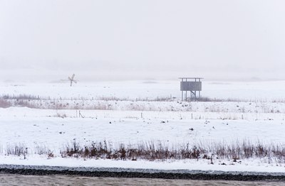 BUITEN BEELD Foto: 80271