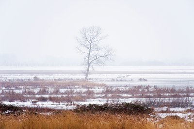 BUITEN BEELD Foto: 80275