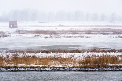 BUITEN BEELD Foto: 80276