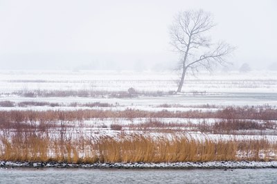 BUITEN BEELD Foto: 80277