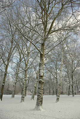 BUITEN BEELD Foto: 80341