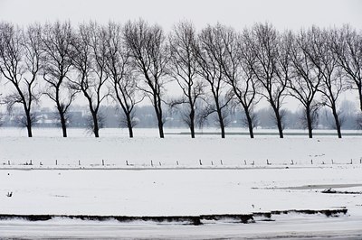 BUITEN BEELD Foto: 80395