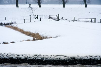 BUITEN BEELD Foto: 80406