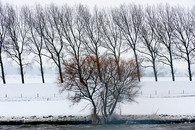 BUITEN BEELD Foto: 80407