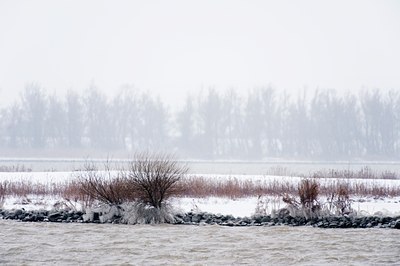BUITEN BEELD Foto: 80421