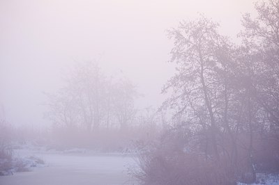 BUITEN BEELD Foto: 80423