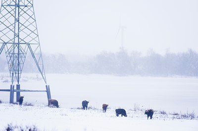 BUITEN BEELD Foto: 80440