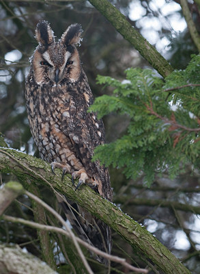 BUITEN BEELD Foto: 80475