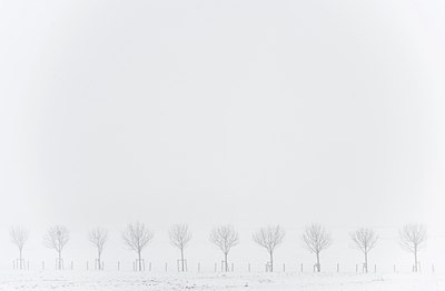 BUITEN BEELD Foto: 80532