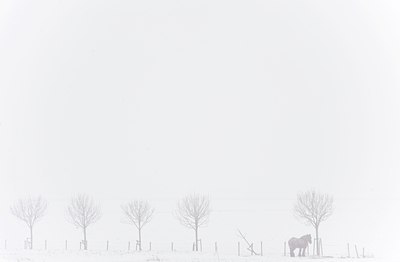 BUITEN BEELD Foto: 80536