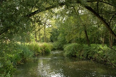 BUITEN BEELD Foto: 80631