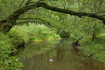 BUITEN BEELD Foto: 80644