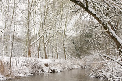 BUITEN BEELD Foto: 80647