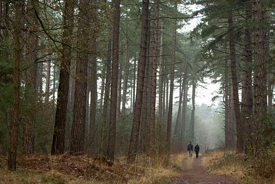 BUITEN BEELD Foto: 80774