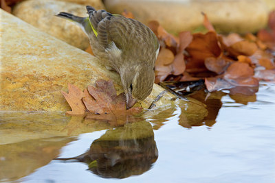 BUITEN BEELD Foto: 80777