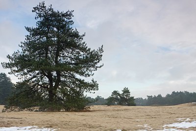 BUITEN BEELD Foto: 80783