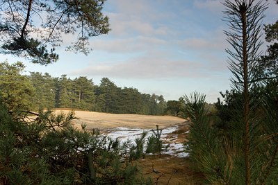 BUITEN BEELD Foto: 80788