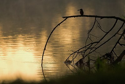BUITEN BEELD Foto: 80800