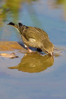 BUITEN BEELD Foto: 80831