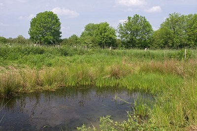 BUITEN BEELD Foto: 80848