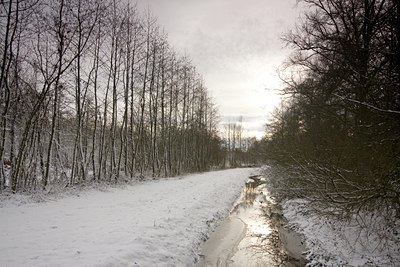 BUITEN BEELD Foto: 80986