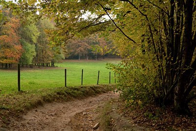BUITEN BEELD Foto: 81021