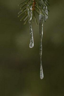 BUITEN BEELD Foto: 81102