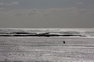 BUITEN BEELD Foto: 81158