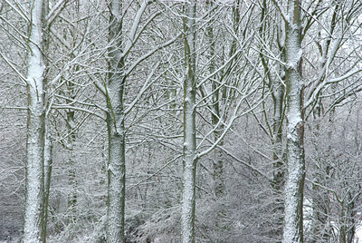 BUITEN BEELD Foto: 81201