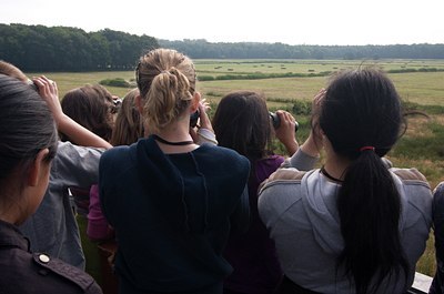 BUITEN BEELD Foto: 81207