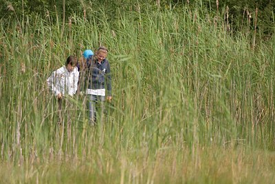 BUITEN BEELD Foto: 81215
