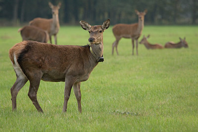 BUITEN BEELD Foto: 81240