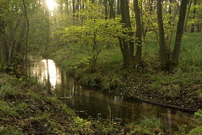 BUITEN BEELD Foto: 81261