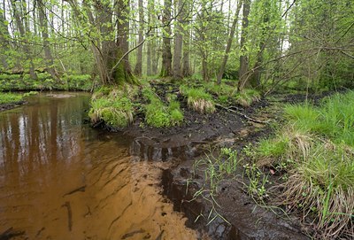 BUITEN BEELD Foto: 81268